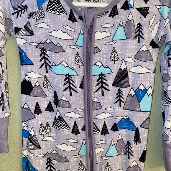 🗻LS Mountain Zippy🗻 - Picture 6 of 6